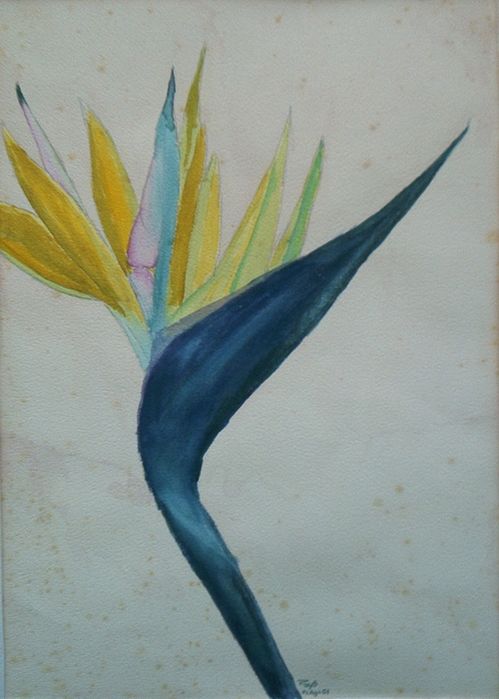 Double-click anywhere to close the window.