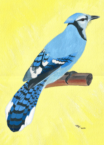 Double-click anywhere to close the window.