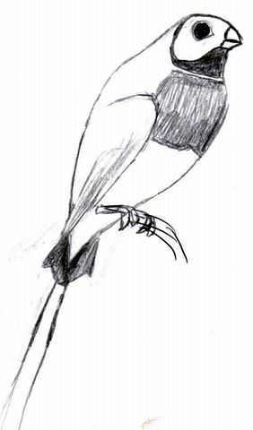 Double-click anywhere to close the window.