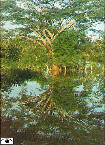 Double-click anywhere to close the window.