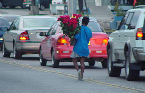Double-click anywhere to close the window.