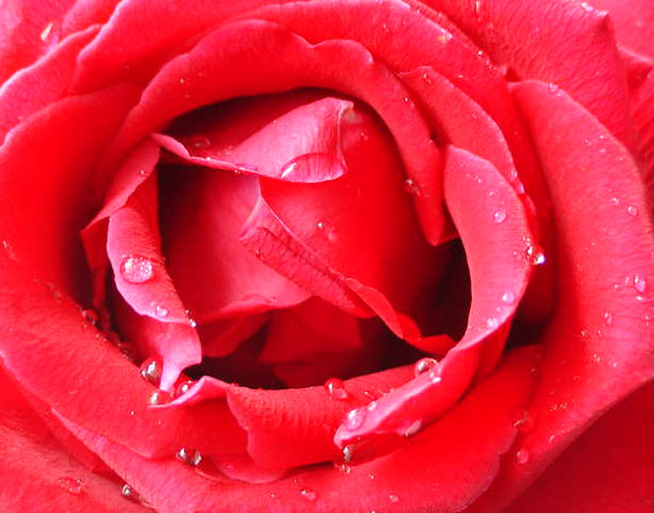 Double-click anywhere to close the window.