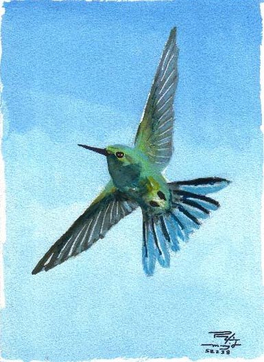 Colibrí #4