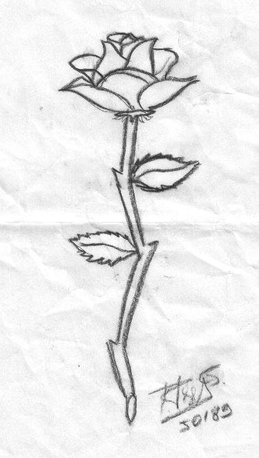 Rosa