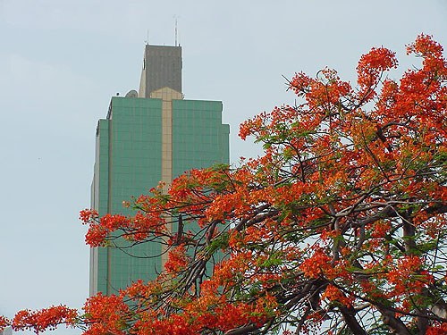 Paisaje urbano #1